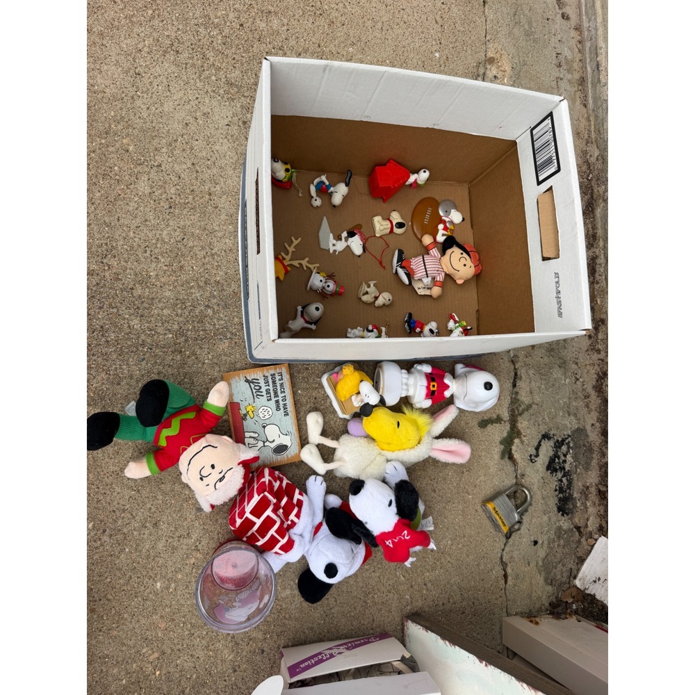 Peanuts Snoopy Charlie Brown Woodstock Collectibles Lot Ornaments Plush Tumbler